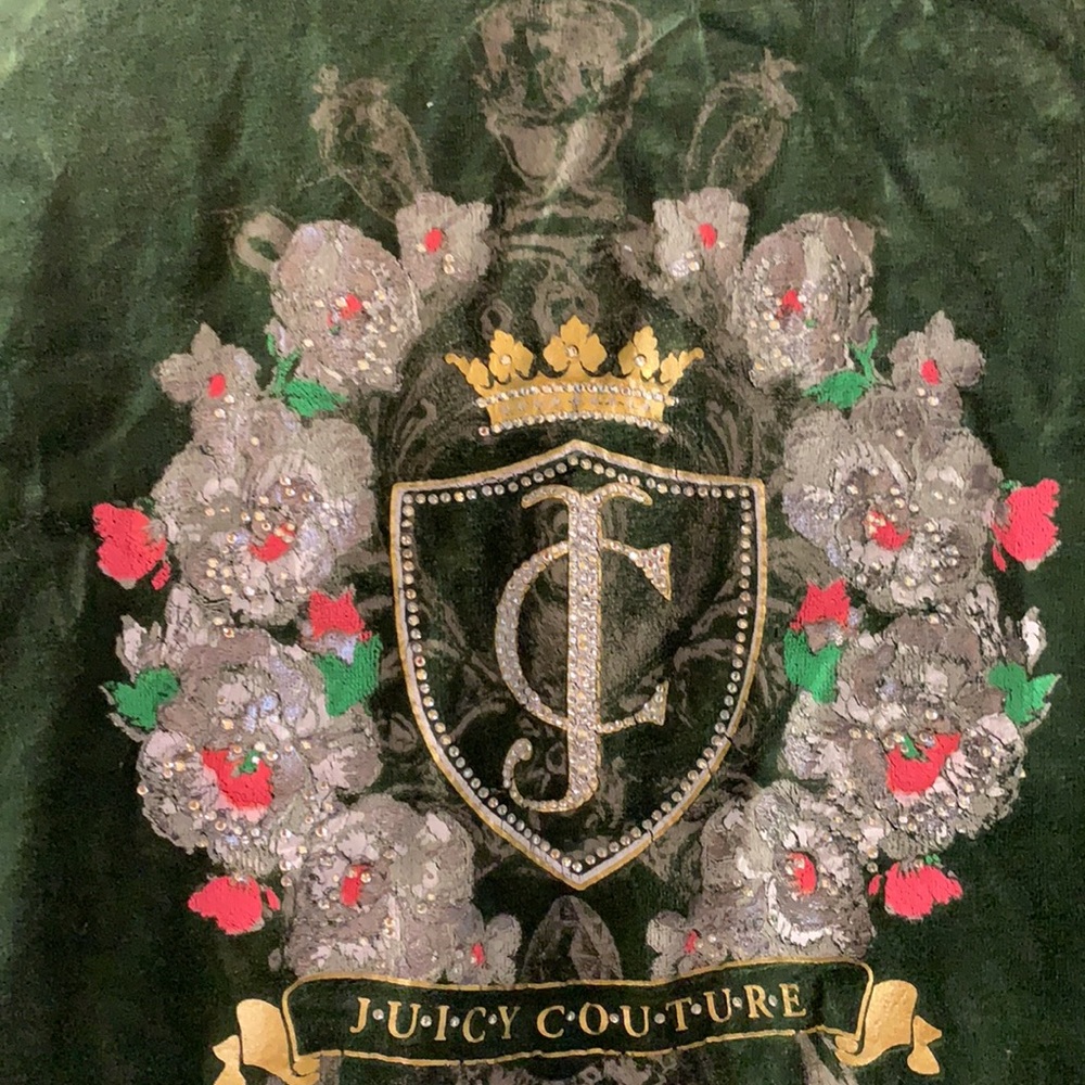Y2K VINTAGE JUICY COUTURE GREEN VELOUR TRACKSUIT HOODIE JACKET SZ M VELVET PLUSH - Picture 2 of 16